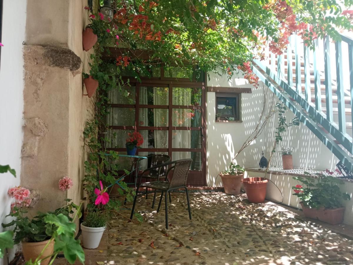 Patio Del Limonero Lejlighed Córdoba Eksteriør billede
