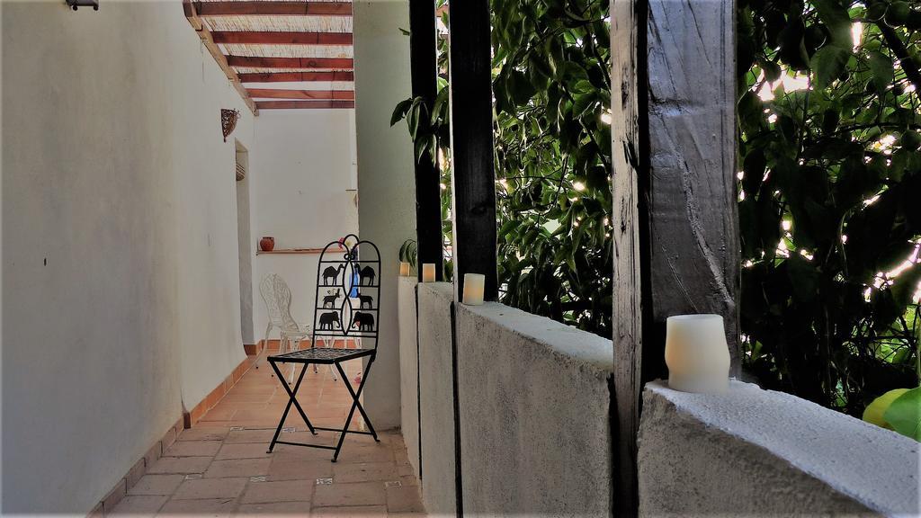 Patio Del Limonero Lejlighed Córdoba Eksteriør billede