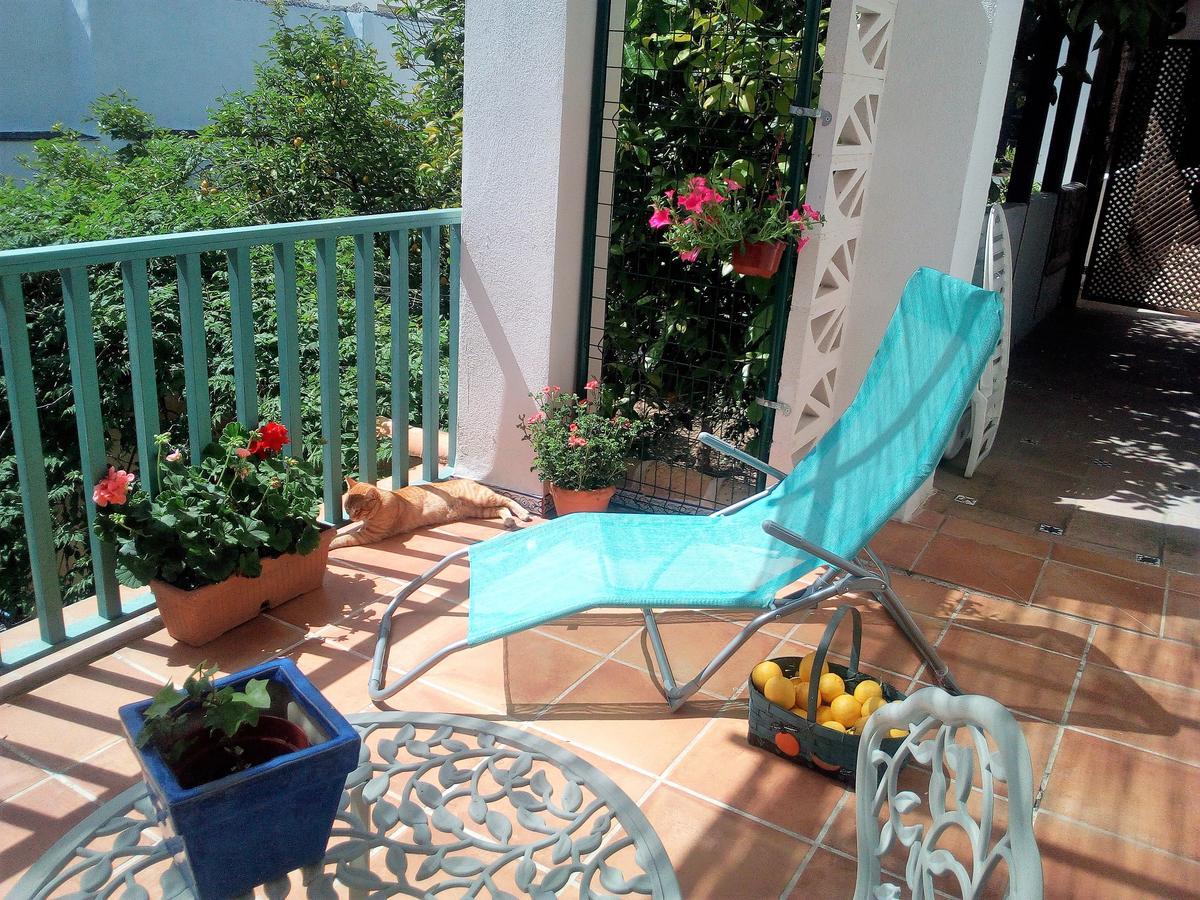 Patio Del Limonero Lejlighed Córdoba Eksteriør billede
